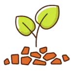 Mulching Services